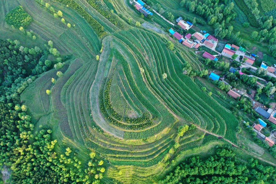 生態(tài)系統(tǒng)健康和管理——加強生態(tài)技術和工程管理，促進生態(tài)系統(tǒng)健康發(fā)展