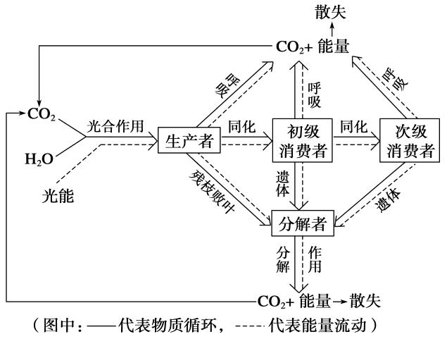 生態(tài)系統(tǒng)的物質循環(huán)——物質循環(huán)的主要特點